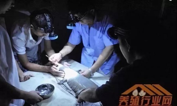 資本試水區(qū)塊鏈生物科技+大健康，場(chǎng)景應(yīng)用時(shí)代已然來(lái)臨！